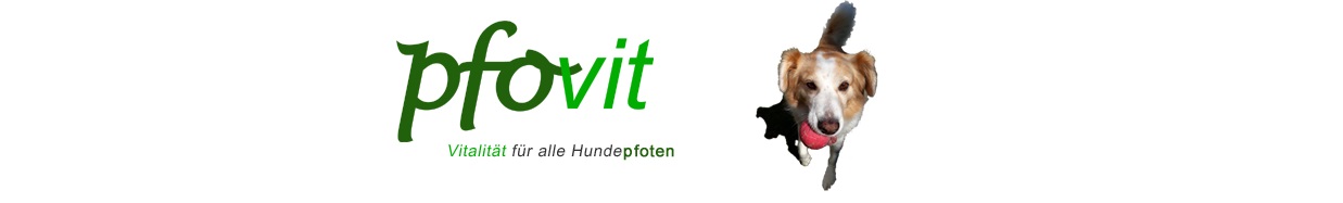 pfovit-Logo