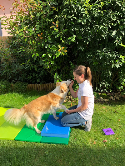 Hundephysiotherapeutin