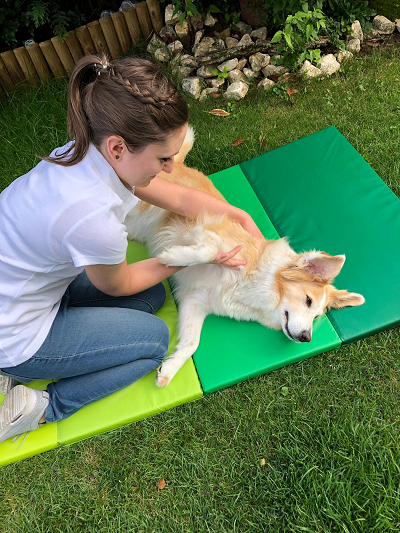 7 pfovit hundephysio